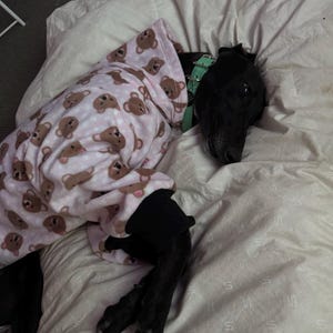 sophie a ajouté une photo de son achat
