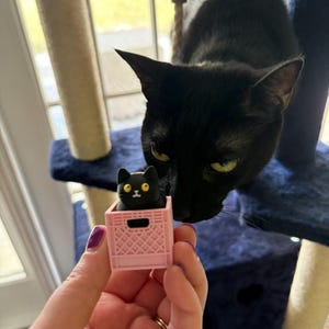 Brittany ha añadido una foto de su compra