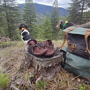 Sara added a photo of their purchase