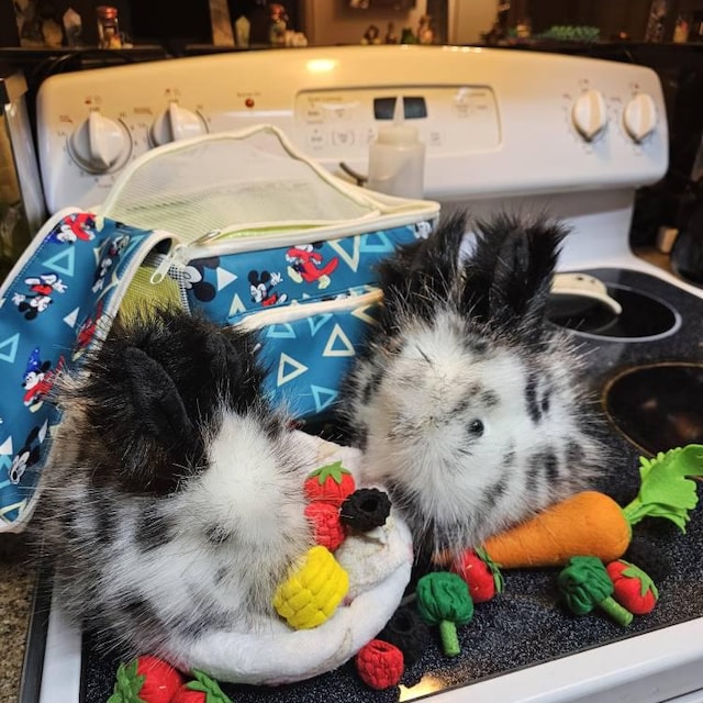 Peluche De Conejo De Peluche Con Patas Largas Y Esponjosas, Color