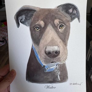 Carley added a photo of their purchase