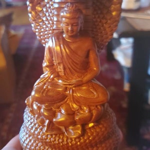 chazmannj added a photo of their purchase