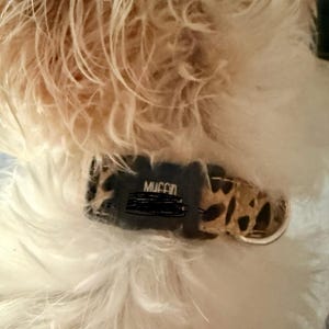 Tammy added a photo of their purchase
