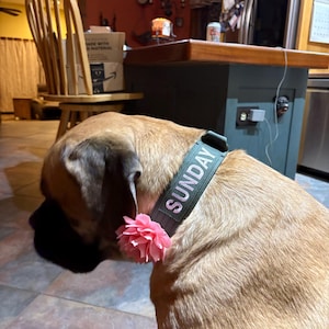 Abbe added a photo of their purchase