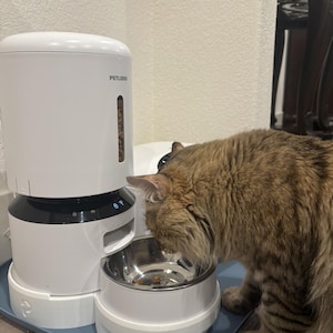 Tiffany adicionaram uma foto da sua compra