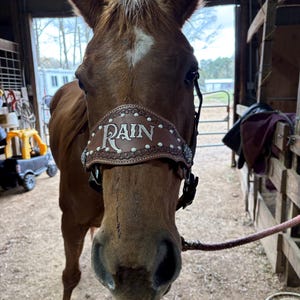 Megan added a photo of their purchase