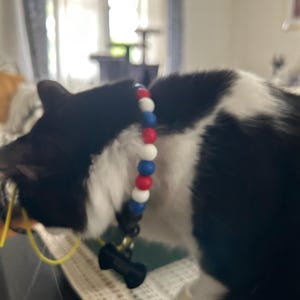 Taise added a photo of their purchase