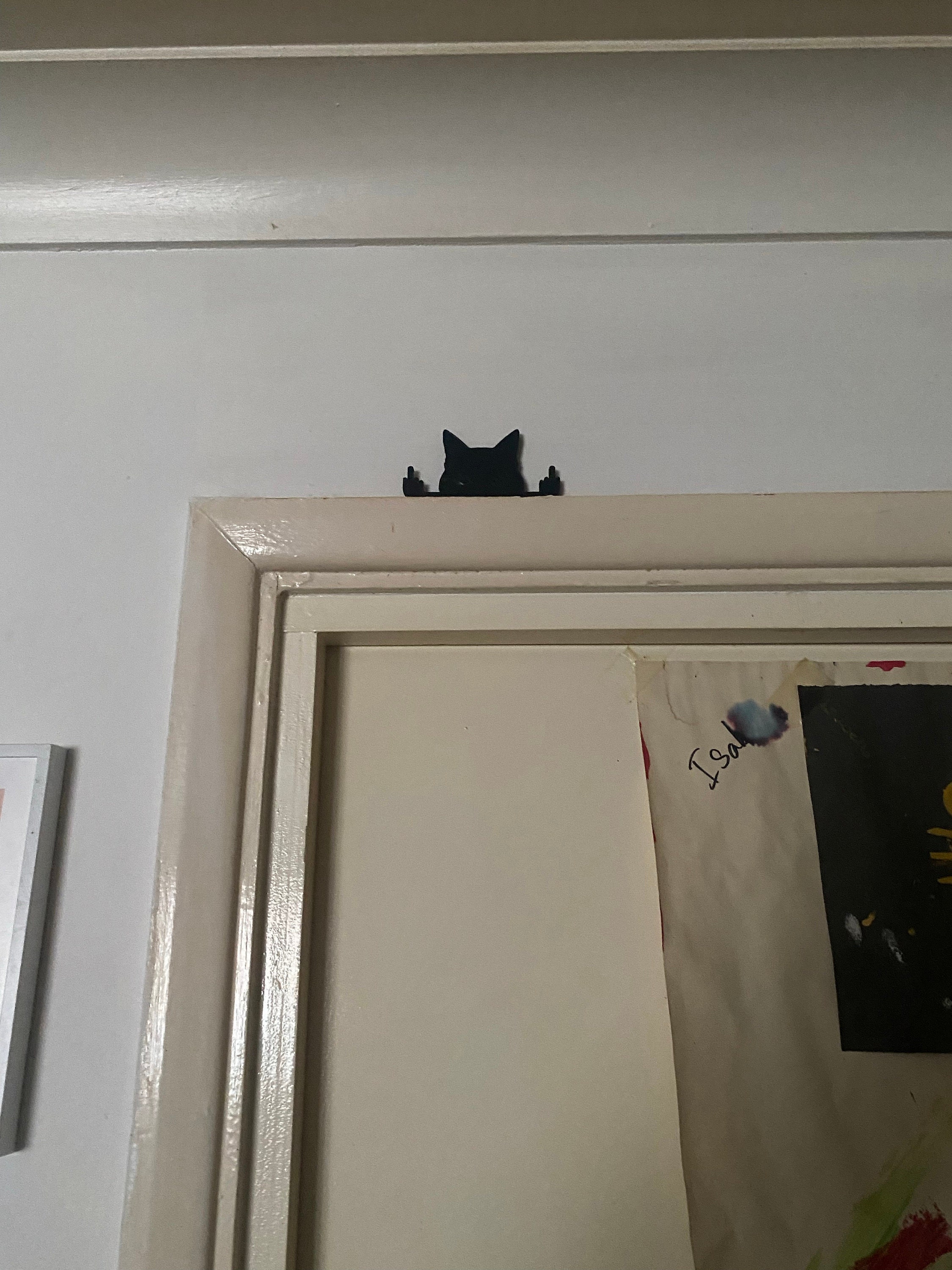 Novelty Cat Ornament Or Display On Door Or Wall