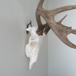 Brittney added a photo of their purchase