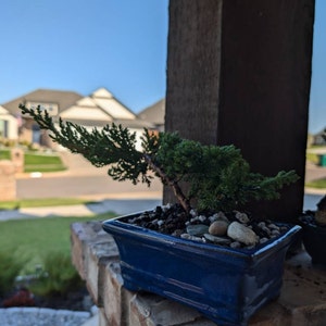 Kyle added a photo of their purchase