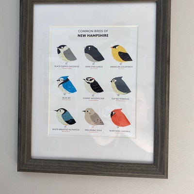 Common State Birds of North Carolina Art Print Illustrated Chubby Bird Print North Carolina ...
