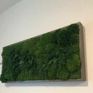 Molly Brosius added a photo of their purchase