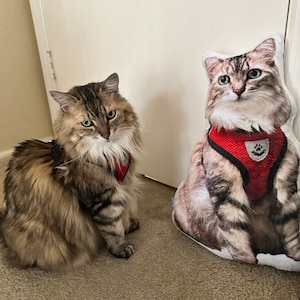 Hope added a photo of their purchase