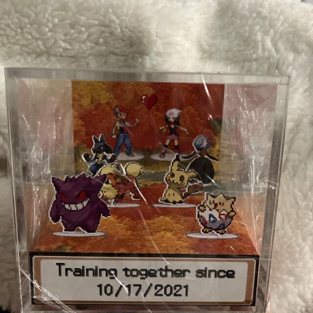 ポケモンデラックスセット⭐2and3season ⭐Cube Pokémon Amazon.com: Pokémon Desert Rocks Environment - 6-Inch Multi