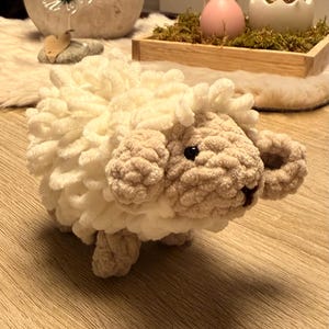Laura added a photo of their purchase