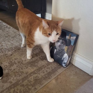 Petra added a photo of their purchase