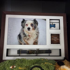 Kathryn adicionaram uma foto da sua compra