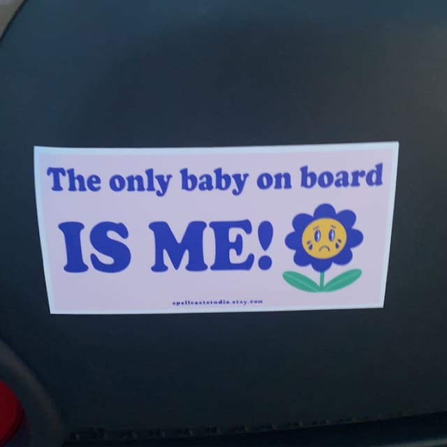 Baby on Board Bumper Sticker for Gen Z, the Only Baby on Board is Me Cute  Pastel Flower Stickers for Cars 