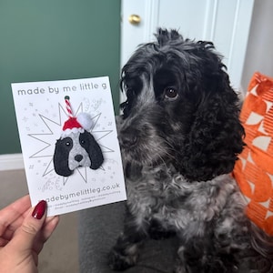 K added a photo of their purchase