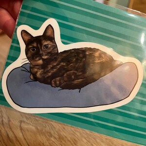 Brynn added a photo of their purchase