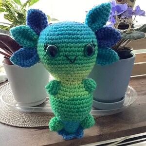 Sue added a photo of their purchase