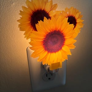 Gail added a photo of their purchase