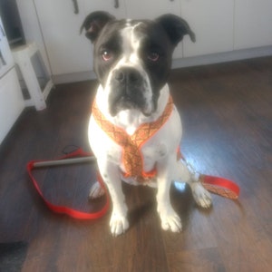 Miranda さんが購入した商品の写真を追加しました