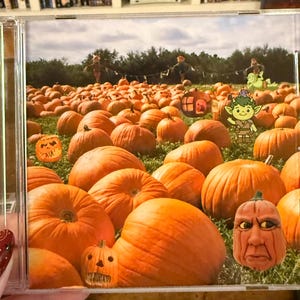 Madi ha añadido una foto de su compra
