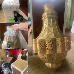 Laura added a photo of their purchase