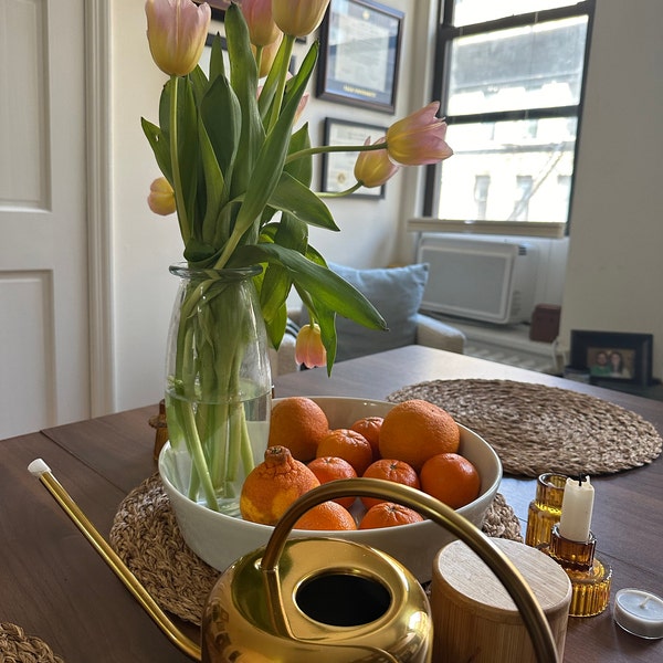 Arrosoir 9 Litres Style Moderne PLINT – Acier Galvanisé Zincé Chaud, Bec Fin Et Long, Poignée Haute, Pour Plantes Intérieur & Extérieur (Zinc)