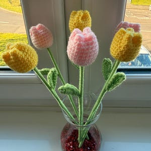 Laura added a photo of their purchase