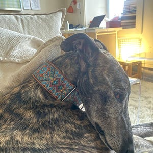 M added a photo of their purchase