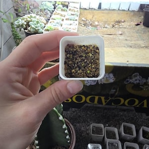 miriam added a photo of their purchase