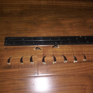 Brian added a photo of their purchase