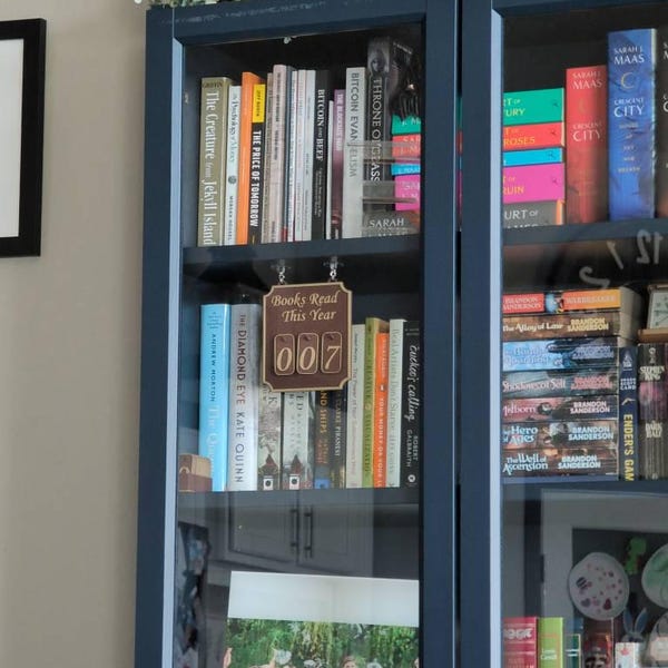 Hanging Bookshelf Counter Bookish Decor Books Read This Year Counter up ...
