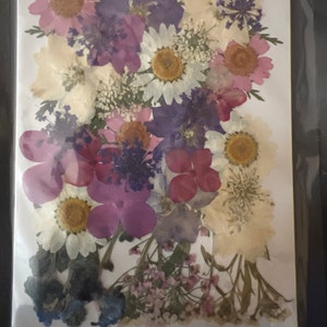 Ella added a photo of their purchase