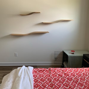 Helen added a photo of their purchase