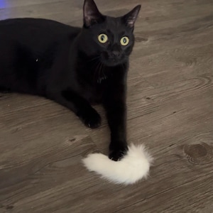 Maddy ha añadido una foto de su compra