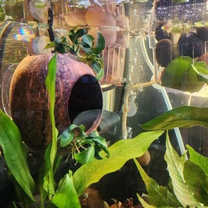 Minette added a photo of their purchase