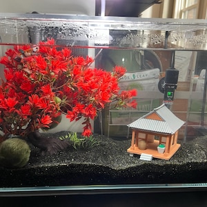 Payton added a photo of their purchase