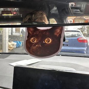 Olly ha añadido una foto de su compra