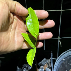 Blake added a photo of their purchase