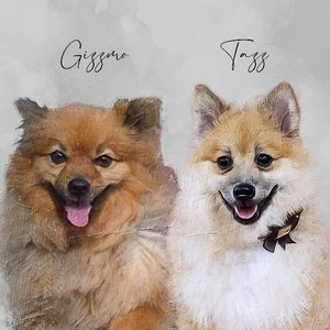 clystia added a photo of their purchase