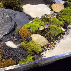 Jon ha añadido una foto de su compra