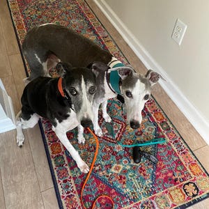kaye added a photo of their purchase