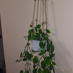Nikki ha añadido una foto de su compra