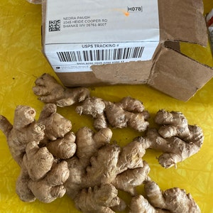 Nedra added a photo of their purchase