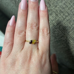 Harleigh さんが購入した商品の写真を追加しました