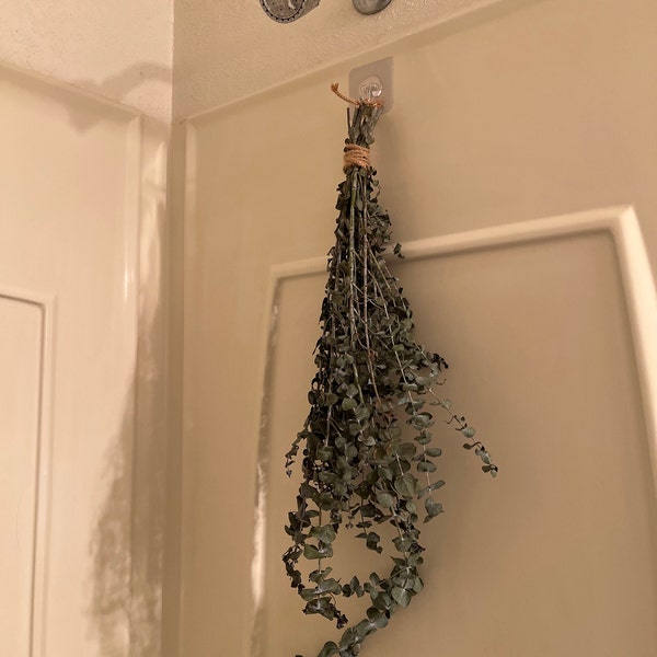 Fresh Eucalyptus Shower Bundle | Eucalyptus Plant | Fresh Eucalyptus ...
