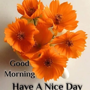 sandra added a photo of their purchase